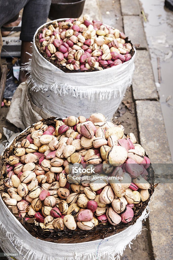 "Piticolá" - Foto de stock de Agricultura royalty-free