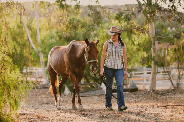 istock Woman With Her Horse on a Ranch 171370773
