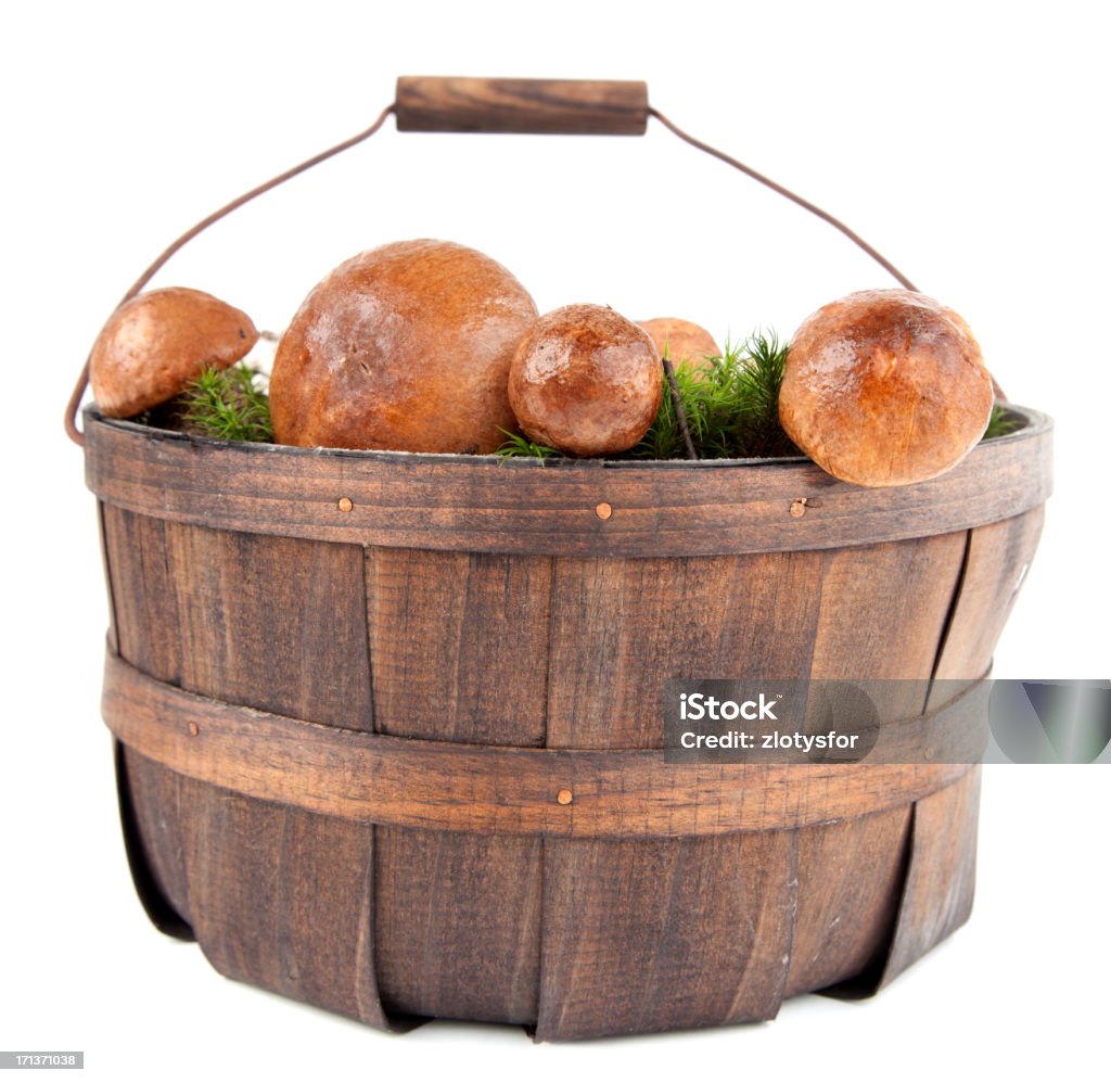 Birch bolete mushrooms Birch bolete mushrooms with moss in the basket isolated on a white background. Autumn Stock Photo