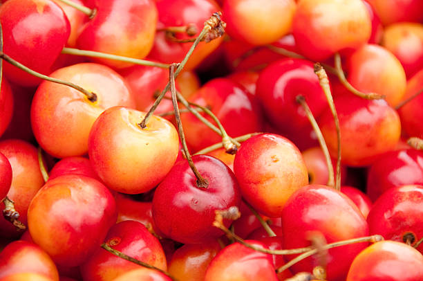 istock Cherries at Pike Place Market 171371188