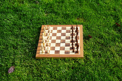 game of chess, chess board and pieces in the grass, chess in nature