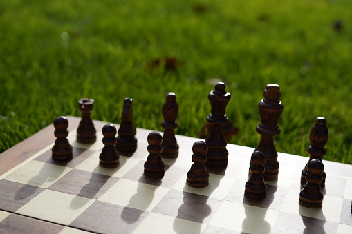 game of chess, chess board and pieces in the grass, chess in nature.