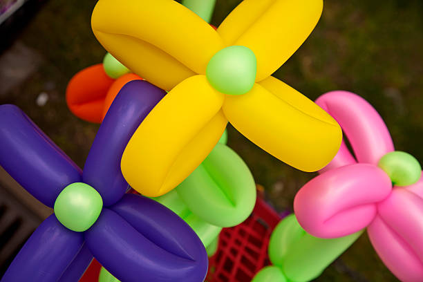 Balloon Flowers stock photo