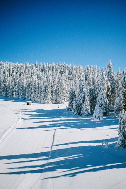 istock ski slopes in the Alps 1713726535