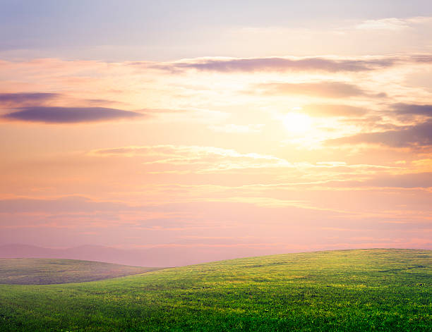 hilly meadow - rolling landscape photos et images de collection