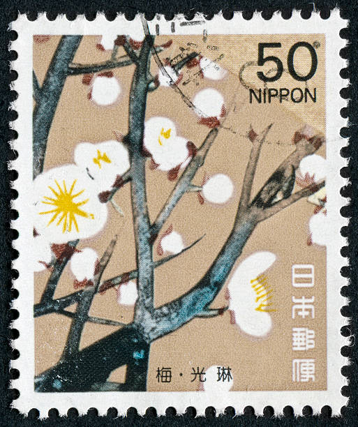 Plum Blossom Stamp Cancelled Stamp From Japan Featuring Plum Blossoms On A Tree blossom flower plum white stock pictures, royalty-free photos & images