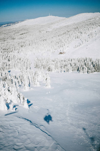 Mountain peak in Alberta, Canada