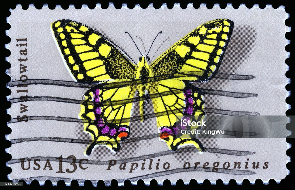 USA Postage Stamp USA Postage Stamp: Oregon Swallowtail Commemorative Stamp, issued in June, 1977 Animal Stock Photo