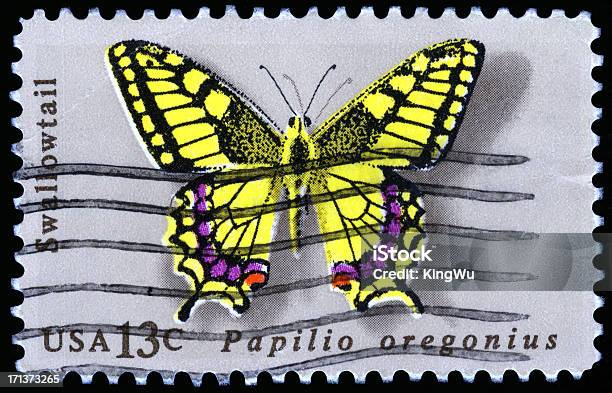 Usa Postage Stamp Stock Photo - Download Image Now - Animal, Animal Wildlife, Butterfly - Insect