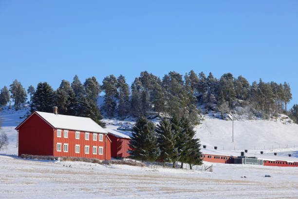 istock Cold winter landscape near Trondheim 1713733118