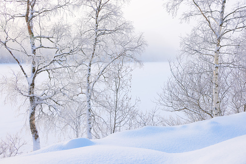 Winter landscape the frozen shores of Jonsvatnet lake near Trondheim, Norway, Europe