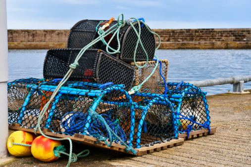 Lobster pots on a harbour wall in Anstruther, Fife, Scotland.\u2028 file_thumbview_approve.php?size=1&id=13433758\u2028 file_thumbview_approve.php?size=1&id=12434694\u2028 \u2028 file_thumbview_approve.php?size=1&id=12310700\u2028 file_thumbview_approve.php?size=1&id=14386003\u2028 file_thumbview_approve.php?size=1&id=13731845\u2028 file_thumbview_approve.php?size=1&id=13722795\u2028 file_thumbview_approve.php?size=1&id=14459747\u2028 file_thumbview_approve.php?size=1&id=13083849\u2028 file_thumbview_approve.php?size=1&id=12406089\u2028 file_thumbview_approve.php?size=1&id=14504619\u2028 file_thumbview_approve.php?size=1&id=14516185