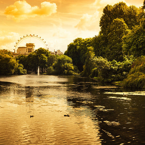 The lake in St James Park, London. With Buckingham Palace in the background.