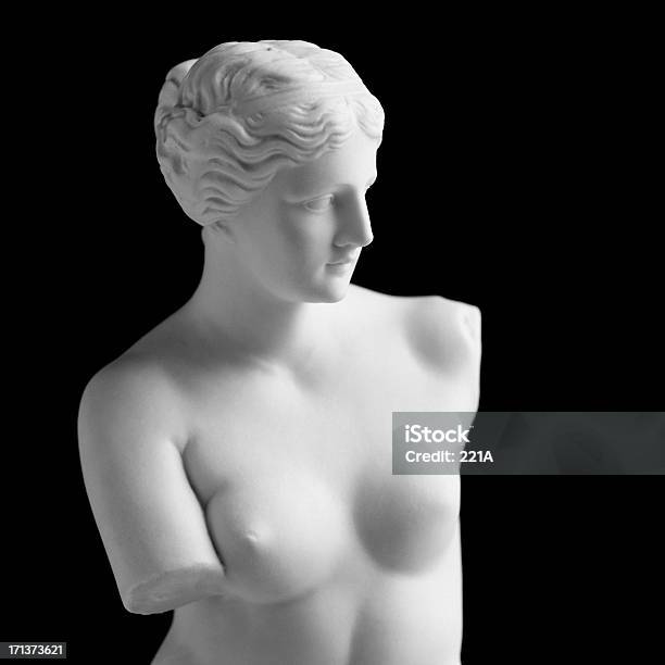 Foto de Vênus De Milo Em Preto e mais fotos de stock de Estátua Vênus de Milo - Estátua Vênus de Milo, Estátua, Vênus - Deusa romana