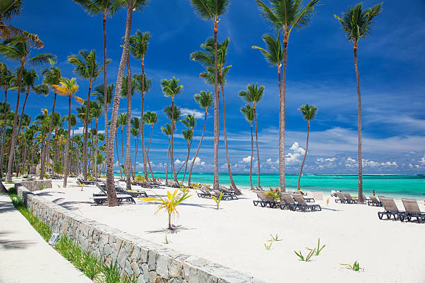 istock Bavaro beach on a sunny day in Punta Cana 171373637