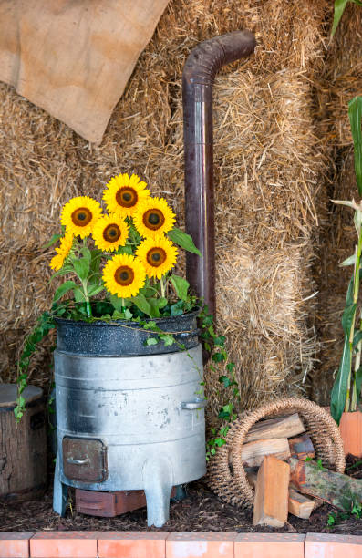 Autumn setting - decoration for Thanksgiving