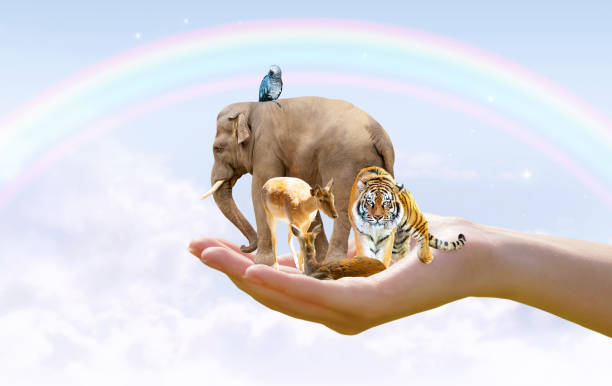 istock World Animal Day or Wildlife Day concept 1713743919