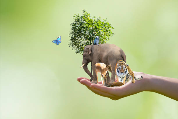 istock World Animal Day or Wildlife Day concept 1713743932