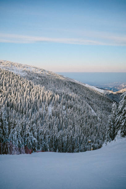 istock ski slopes in the Alps 1713744233