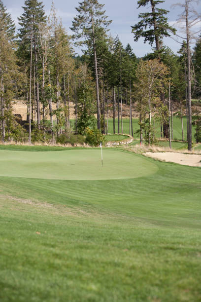 istock Golf green and sand trap 171374523