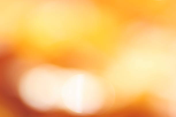 Orange Glow Orange Glow