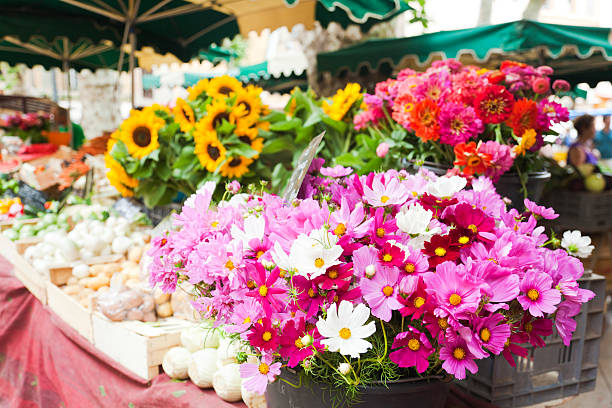 marché provençal - flower market photos photos et images de collection