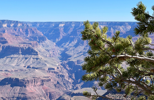 A view of the Grand Canyon from the South Rim.