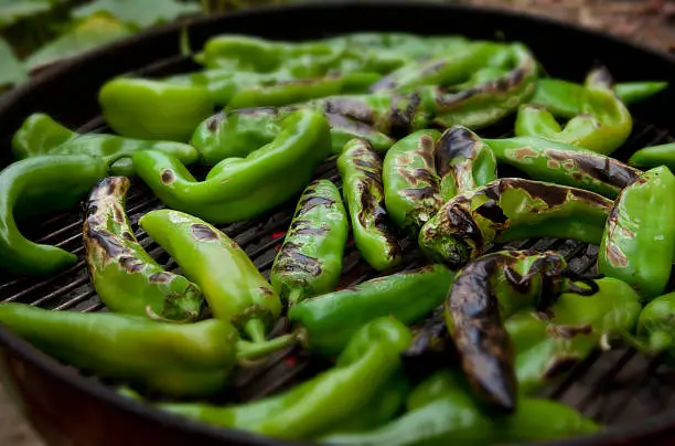"Once a year, the supermarkets are flooded with Hatch Chile Peppers. Once roasted this spicy vegetable makes beautiful soups and stews."