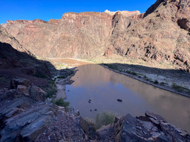 istock Colorado River in the Grand Canyon 1713750115
