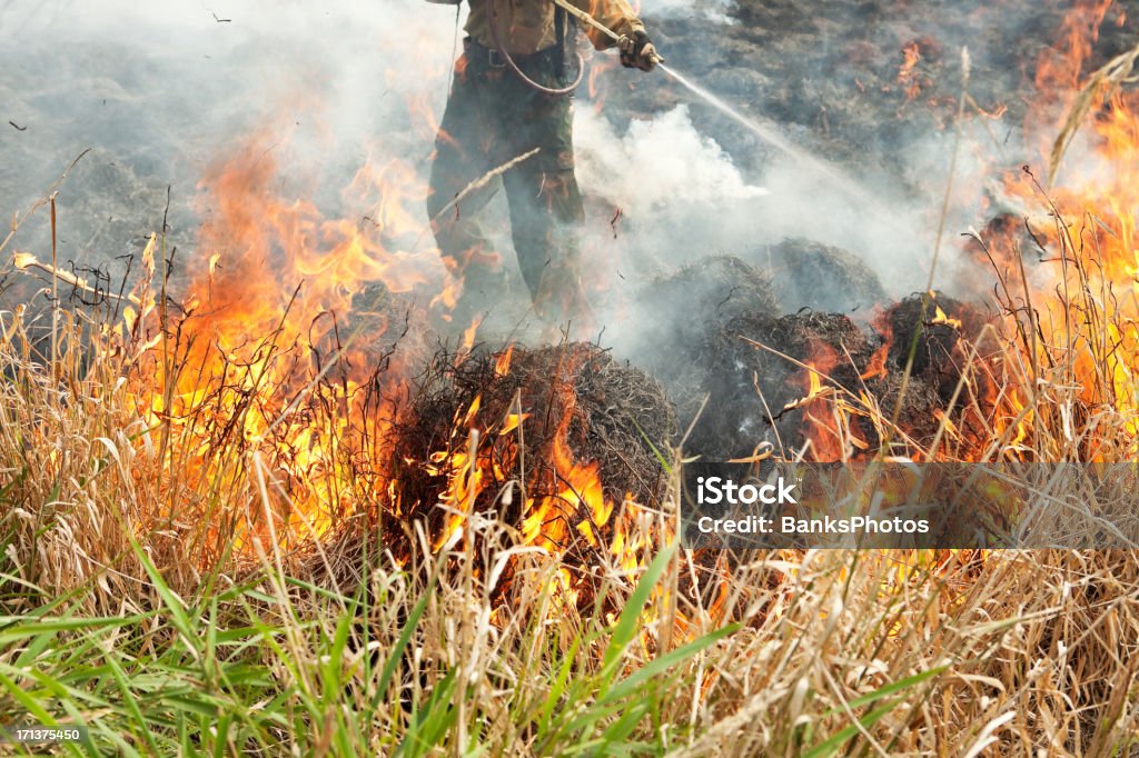 Pompier Asperger une Prairie herbe Fire - Photo de Feu de forêt contrôlé libre de droits