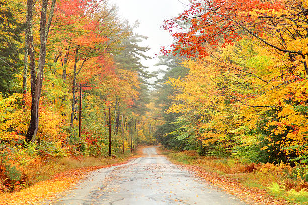 istock Autumn Road in New Hampshire 171375692