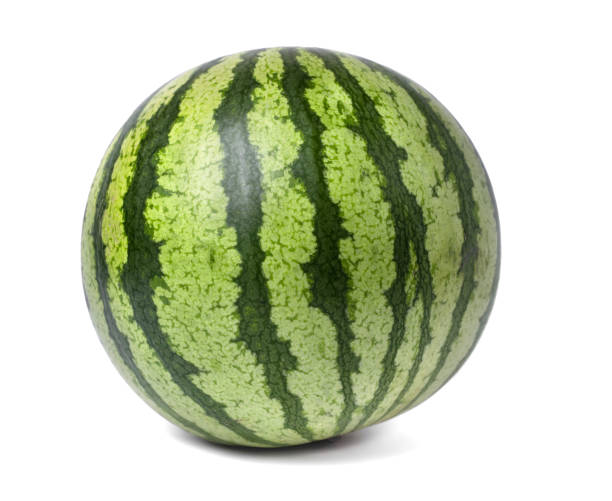 istock One whole ripe watermelon isolated on white 1713762448