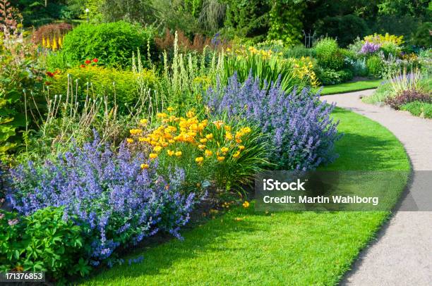 Sunny Garden Stock Photo - Download Image Now - Catmint, Yard - Grounds, Landscaped
