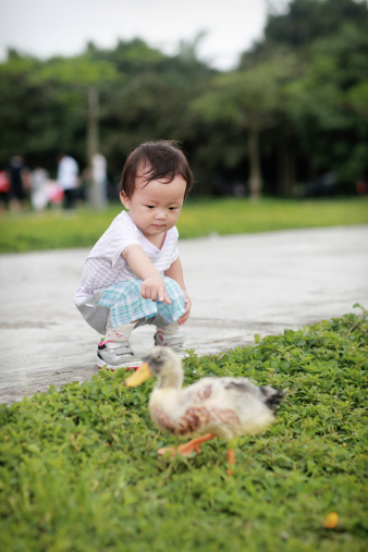 Little boy and duck