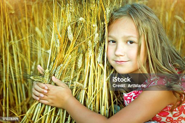 Menina Agarrar Trigo - Fotografias de stock e mais imagens de 8-9 Anos - 8-9 Anos, Agricultura, Ajardinado