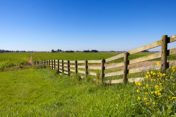 istock Typical Dutch polder landscape on a clear day 171378581