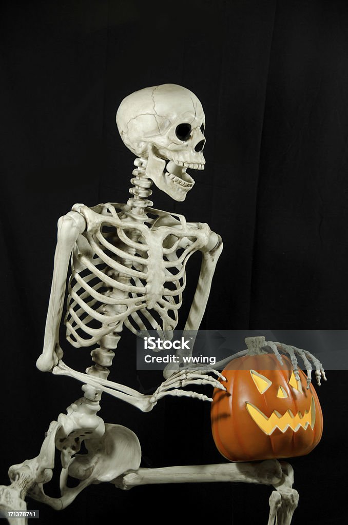 Sitting Skeleton on Black with Jack-o-Lantern Lighted 3 A human replica skeleton with arms raised on a black background. Sitting with a lighted jack-o-lantern. Black Background Stock Photo