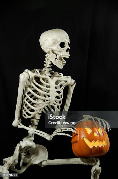 Sitting Skeleton On Black With Jackolantern Lighted 3 Stock Photo - Download Image Now