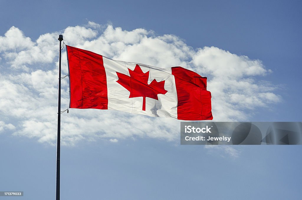 Flying Canadian Flag The sun shines through a Canadian flag blowing in the wind over a blue sky. Canadian Flag Stock Photo