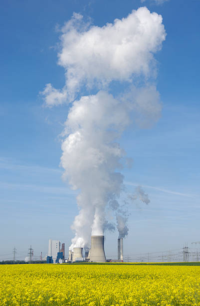istock Power plant and fresh canola field 171379442