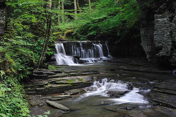 istock Waterfalls in Fillmore Glen State Park 171379485