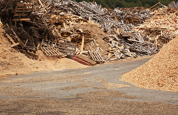 aparas de madeira para a reciclagem. - carpenter construction garbage ruined imagens e fotografias de stock