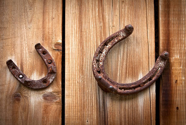 istock Horseshoes on the door 171380418