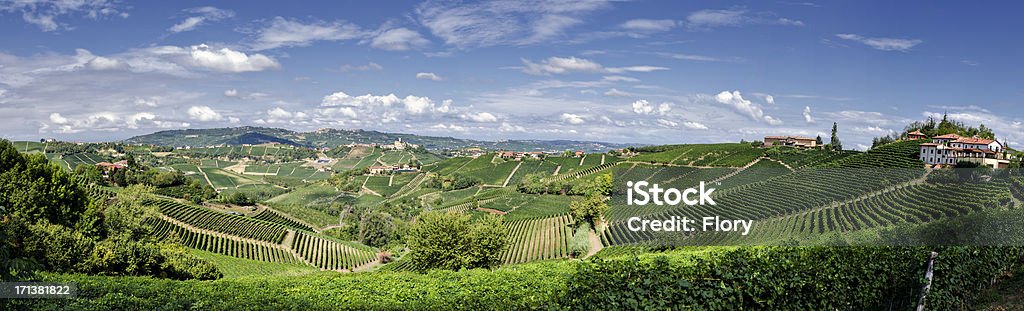 Panorama of Farm house in  vineyard "Barolo Hills of vineyards, Piedmont. Italy" Vineyard Stock Photo