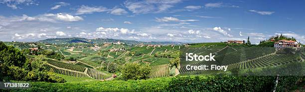 Panorama Of Farm House In Vineyard Stock Photo - Download Image Now - Vineyard, Italy, Scenics - Nature