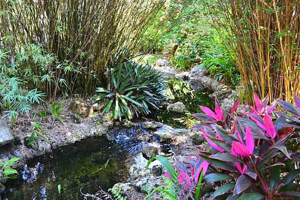 Beautiful Tropical Garden and Rocky Stream Horizontal