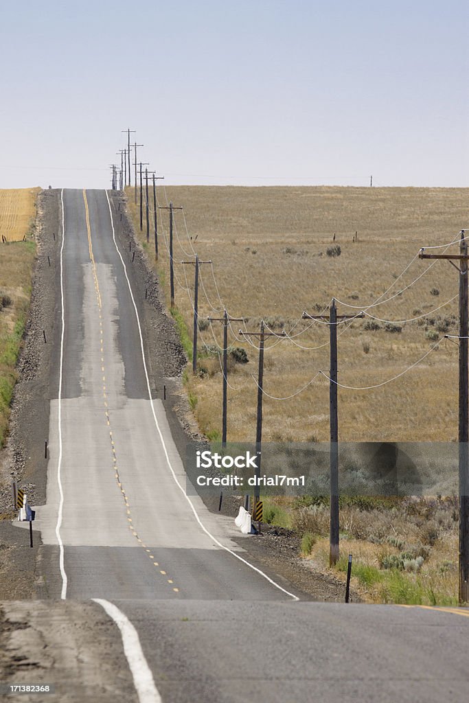 Empty Country Road A long road through the rural pasture land, with utility poles along the right side. Agricultural Field Stock Photo