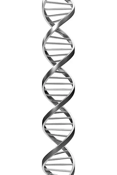 "Metallic DNA, isolated."