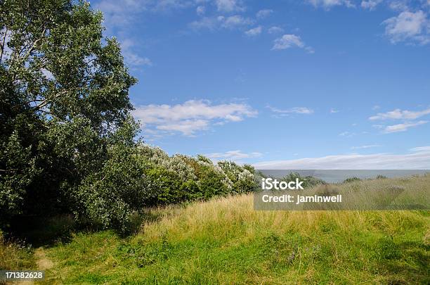 Campo Erboso Idilliaco Paesaggio Alberi E Cielo - Fotografie stock e altre immagini di Alberato - Alberato, Albero, Albero deciduo