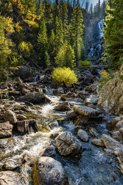 istock Fall Foliage around Steamboat Springs Colorado 1713829197